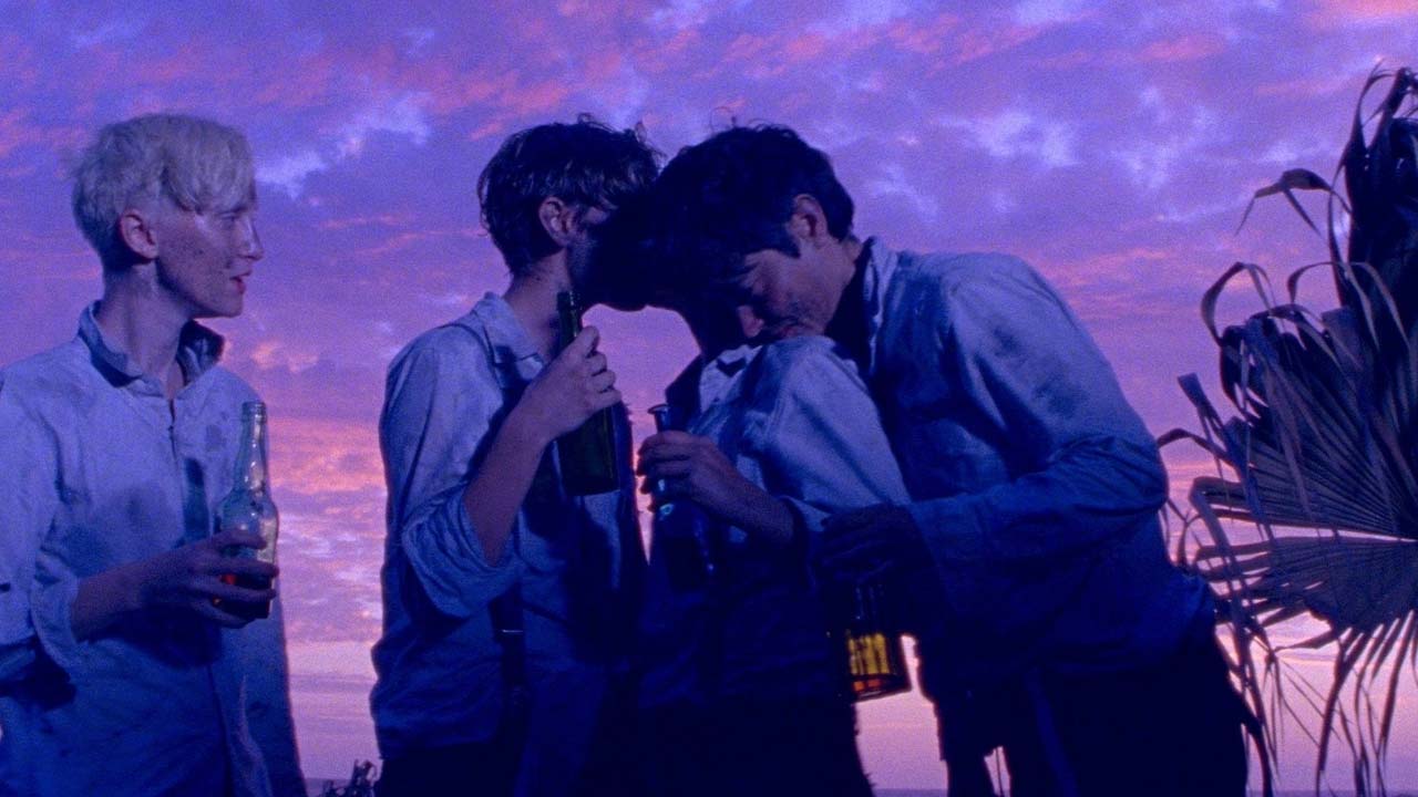 The Wild Boys F 2017, OmU Randfilm Kino, Genre, Film, Verein